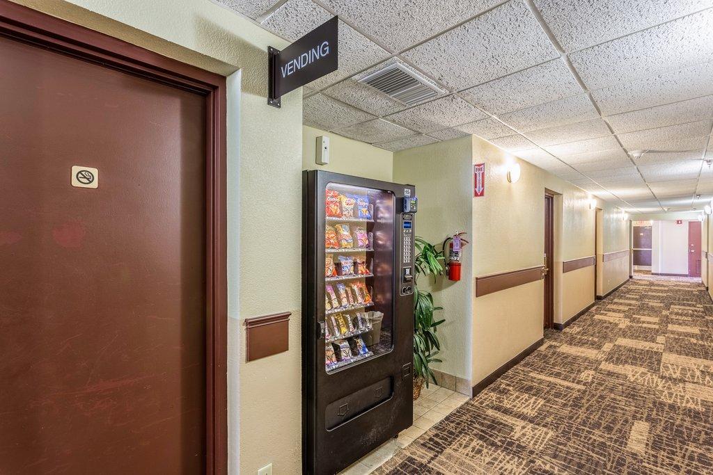 Tropical Palms Hotel Клируотер Экстерьер фото